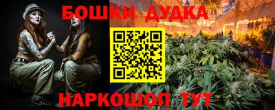 крисы Партизанск
