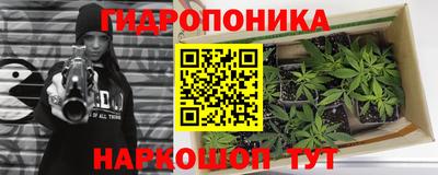 крисы Партизанск