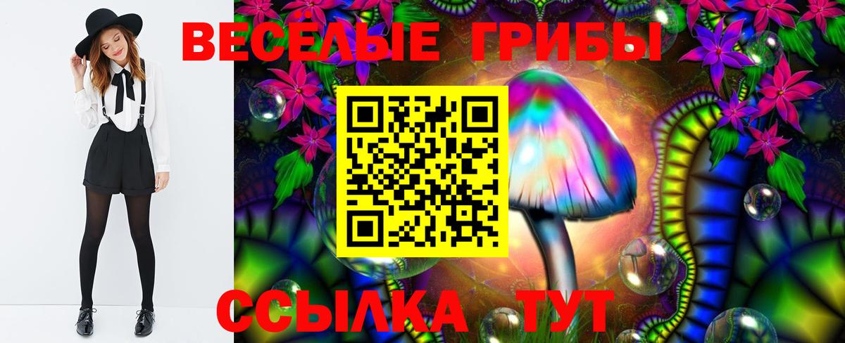 Унеча  Галлюциногенные грибы мицелий  Галлюциногенные грибы Psilocybe  Вход с VPN 